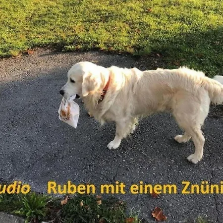 Ruben 2-bett דירה